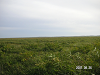 s_PICT0096_thumb.png